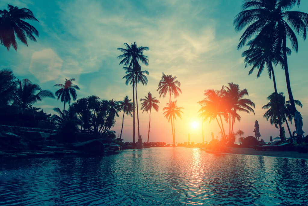 Przygotowanie zdrowotne na wyjazd w tropiki LIFE